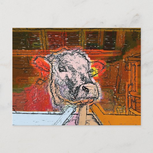 KOEIEN BRIEFKAART (Voorkant)