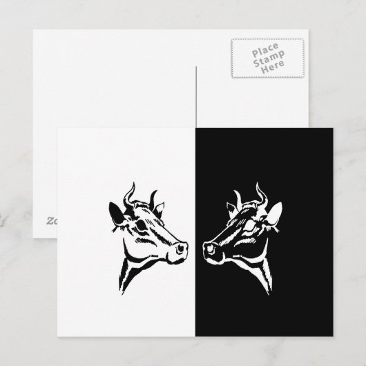 Koeien Briefkaart (Voorkant / Achterkant)