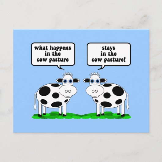 koeien briefkaart (Voorkant)
