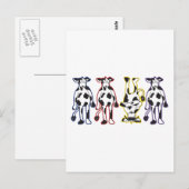 koeien briefkaart (Voorkant / Achterkant)