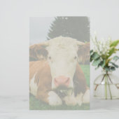 Koeien Briefpapier (Staand voorkant)