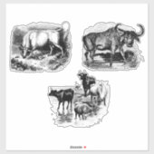 Koeien Bull Water Buffalo  Dierkunst Sticker (Vel)