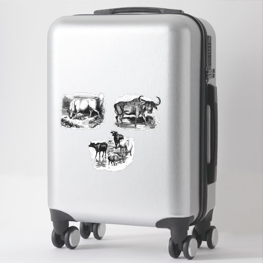 Koeien Bull Water Buffalo  Dierkunst Sticker (Koffer)