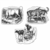 Koeien Bull Water Buffalo Dierkunst Sticker (Voorkant)