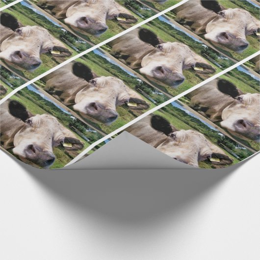 KOEIEN CADEAUPAPIER (Hoek)