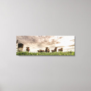 Koeien Canvas Afdruk