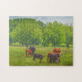Koeien Cattle Art Texas Boerderij Pasture Puzzel