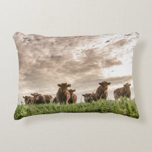 Koeien Decoratief Kussen
