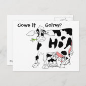 Koeien die gaan? briefkaart (Voorkant / Achterkant)