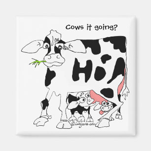 Koeien die gaan? Square Fridge Magnet