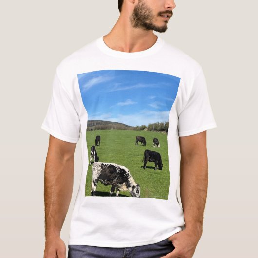 Koeien die grazen in een groen veld t-shirt (Voorkant)