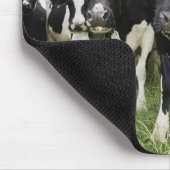 Koeien die in een rij op camera staan muismat (Hoek)