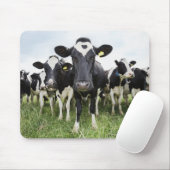 Koeien die in een rij op camera staan muismat (Met muis)