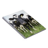 Koeien die in een rij op camera staan notitieboek (Rechterzijde)