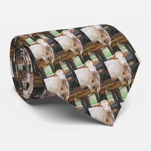 Koeien die stropdas (Opgerold)