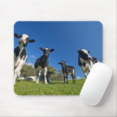 Koeien die zich op weide voeden muismat (Met muis)