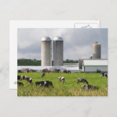 Koeien en boerderij in de buurt van Taylor County Briefkaart (Voorkant / Achterkant)