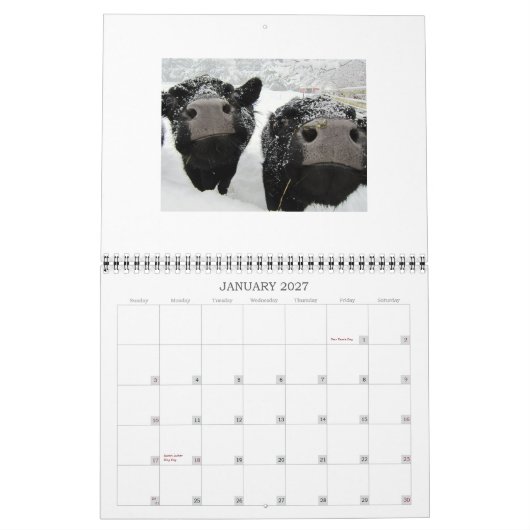 Koeien en kalveren kalender 2015 (Jan 2027)