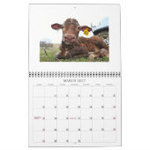 Koeien en kalveren kalender 2015 (Mar 2027)