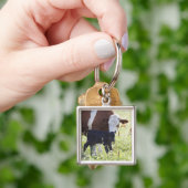 Koeien en kalveren sleutelhanger (Hand)