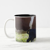 Koeien en kalveren tweekleurige koffiemok (Links)