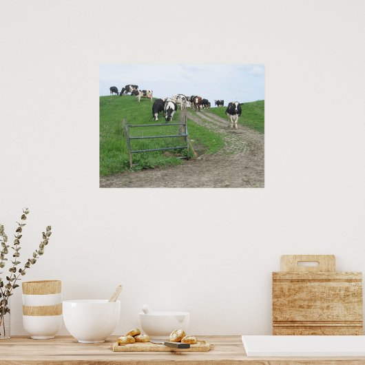 Koeien Foto Poster (Keuken)