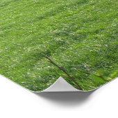 Koeien Foto Poster afdrukken (Hoek)