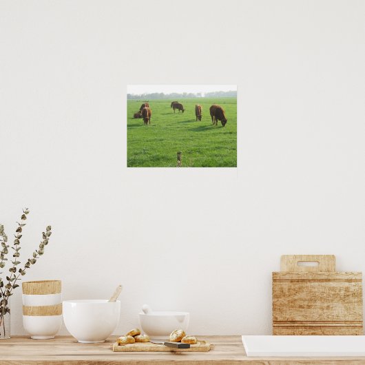 Koeien Foto Poster afdrukken (Keuken)