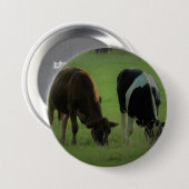 Koeien foto Ronde Badge Button 7,6 Cm (Voorkant /achterkant)