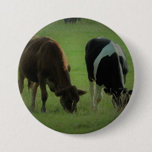 Koeien foto Ronde Badge Ronde Button 7,6 Cm