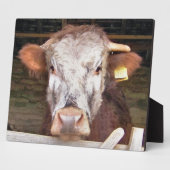 KOEIEN FOTOPLAAT (Zijkant)