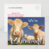 Koeien Grappig Nieuw Adres We zijn verhuisd Aankondigingskaart (Voorkant / Achterkant)