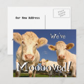 Koeien grappig We hebben verplaatst Nieuw Adres Br Aankondigingskaart (Voorkant / Achterkant)