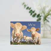 Koeien grappig We hebben verplaatst Nieuw Adres Br Aankondigingskaart (Staand voorkant)