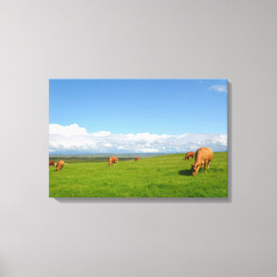 Koeien grazen in een weide in Ierland canvas print