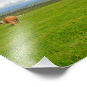 Koeien grazen in een weide in Ierland foto's afdru Foto Afdruk (Hoek)