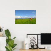Koeien grazen in een weide in Ierland poster (Thuiskantoor)