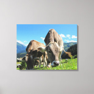 Koeien grazen in Oostenrijk Canvas Afdruk