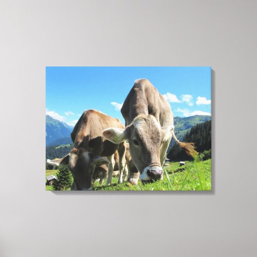 Koeien grazen in Oostenrijk Canvas Afdruk (Voorkant)