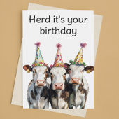 Koeien Hier is het je verjaardag Kaart