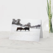 Koeien Hoofd Bedankkaart (Voorkant)