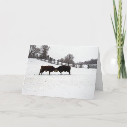 Koeien Hoofd Bedankkaart (Voorkant)