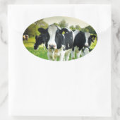 Koeien houden van staren ovale sticker (Tas)