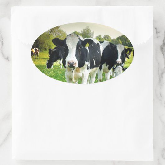 Koeien houden van staren ovale sticker (Tas)