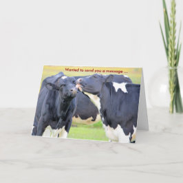 Koeien Ik hou van je Wenskaart Kaart