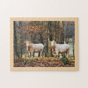 Koeien in bosgebied, Frankrijk Legpuzzel