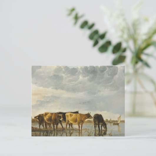 Koeien in de Aelbert Cuyp Briefkaart (Staand voorkant)