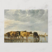 Koeien in de Aelbert Cuyp Briefkaart (Voorkant)