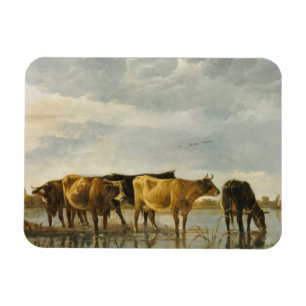 Koeien in de Aelbert Cuyp Magneet