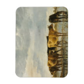 Koeien in de Aelbert Cuyp Magneet (Verticaal)